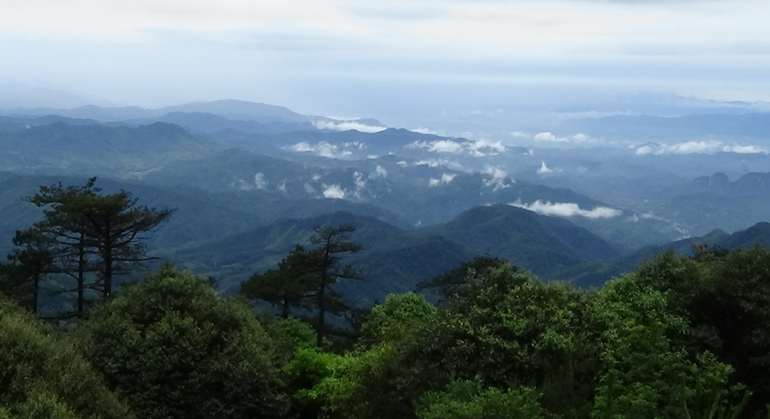 美丽的老盈山。连城县委组织部供图