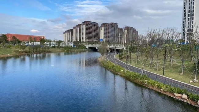 以智慧乡村建设为抓手,漳港街道探索推行“党建+旅游”的发展模式。