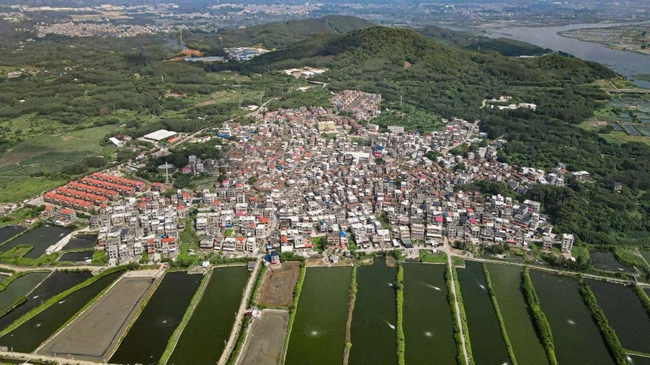 西梧村。陈旭玲摄