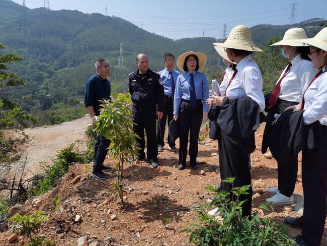 涵江法院联合涵江检察院、涵江公安分局、涵江区自然资源局等部门对涉林生态案件补植复绿现场踏勘.jpg