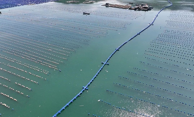 大建村海上阻拦网。