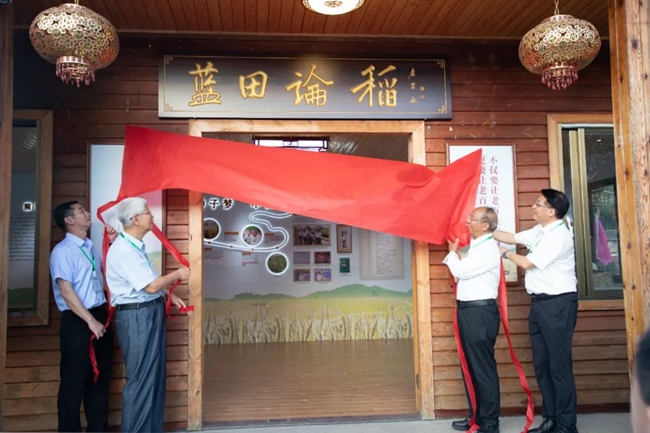 “稳粮富农 蓝田论稻”主题展馆揭牌