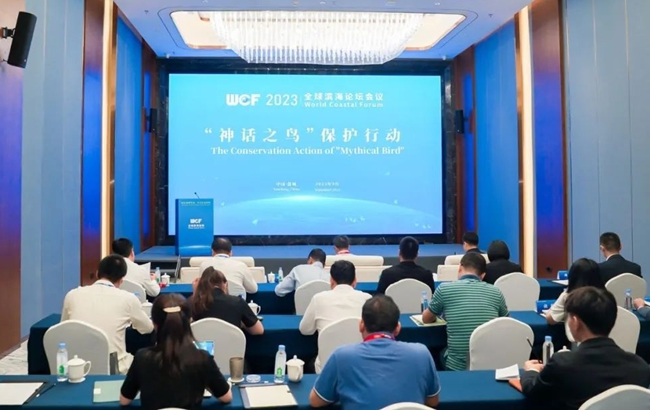会议现场。主办方供图