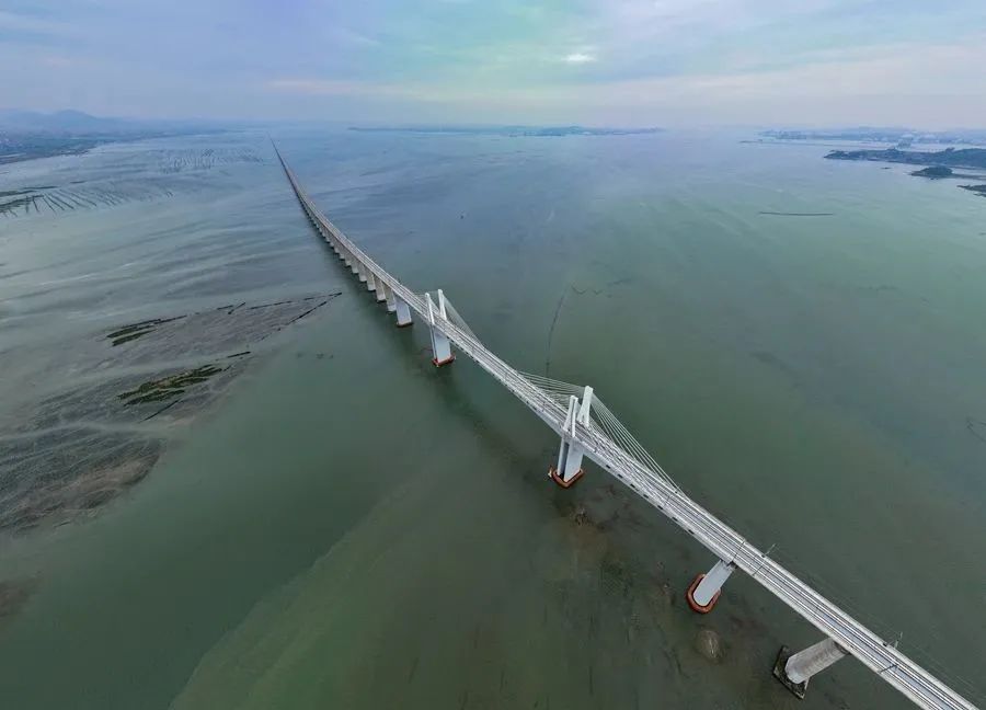 福廈高鐵湄洲灣跨海大橋一景。張海根攝