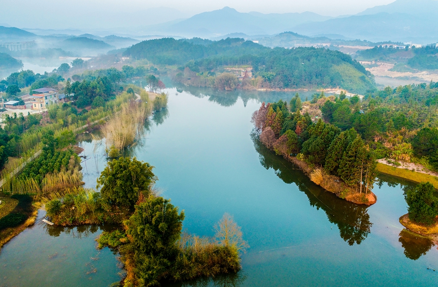 千鹭湖湿地。钟文泉摄