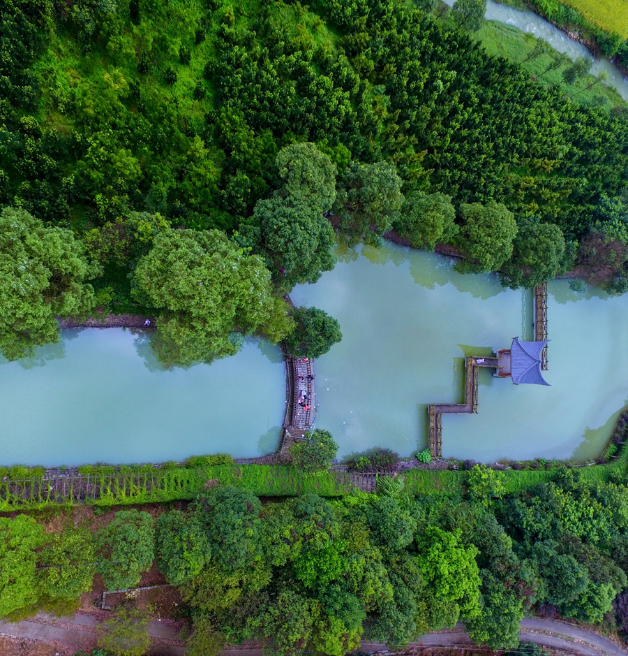 绿源名贵植物园。张力摄