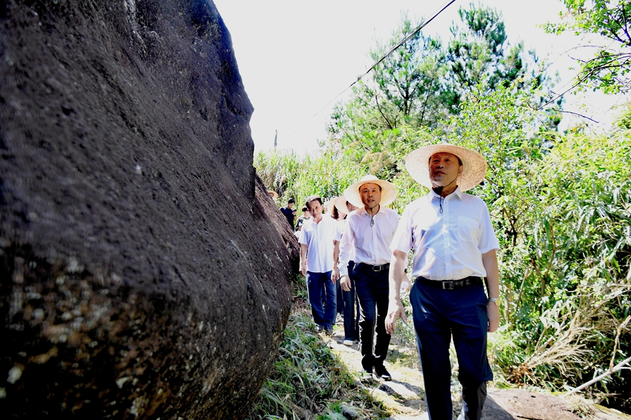 大家行走在