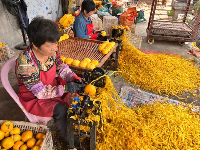  Peel persimmons. Picture provided by Yongtai County Rong Media Center