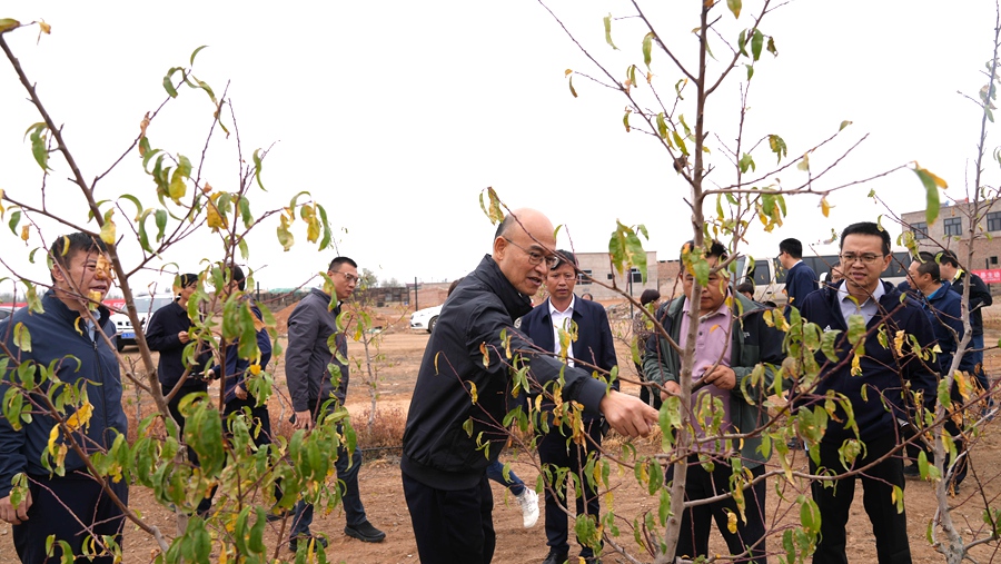 在桃園種植基地參觀考察。思明區融媒體中心供圖