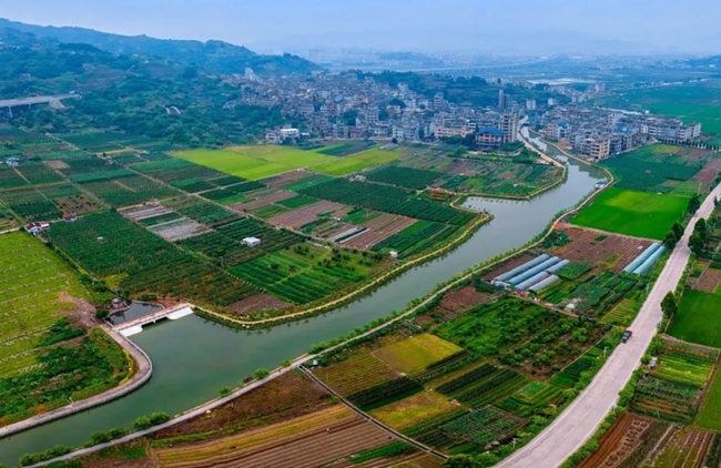 东岱镇已基本实现水清岸绿景美的目标。林双伟摄