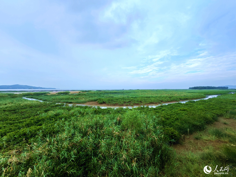 福建闽江河口湿地国家级自然保护区核心区。人民网 叶青卿摄