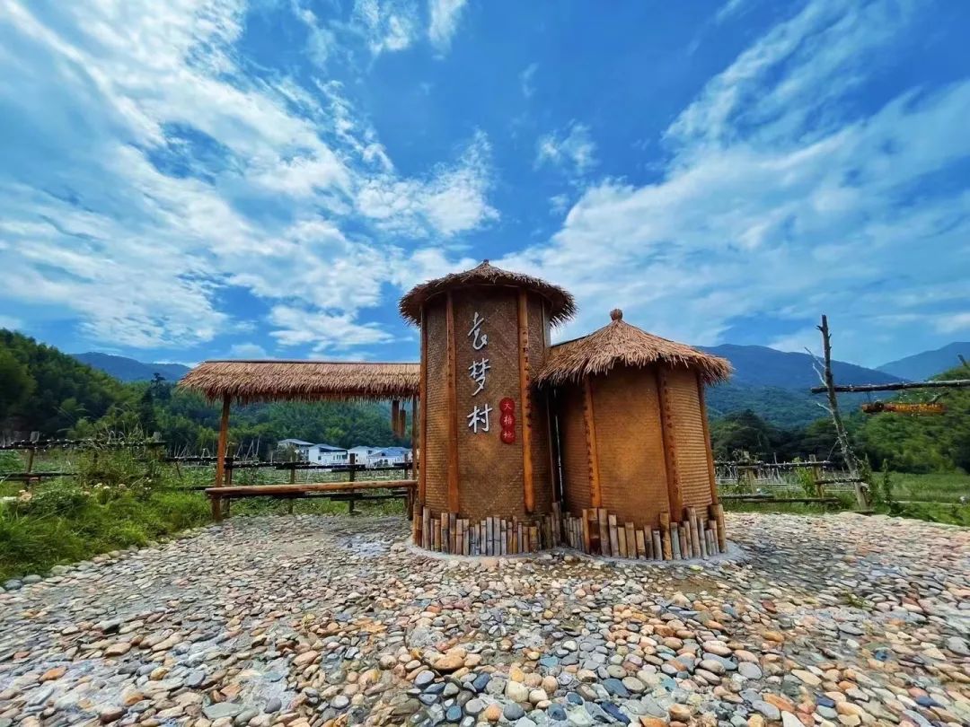 。龙岩市融媒体中心供图