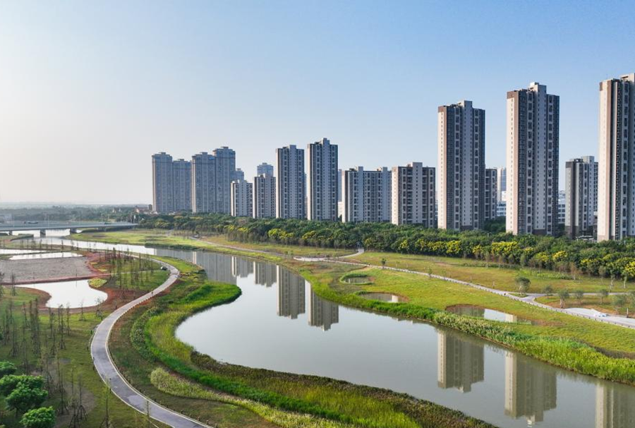 整治后的埭頭溪一派碧水潺潺景象。夏海濱供圖