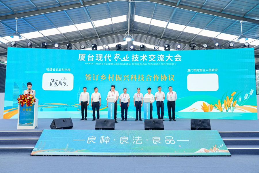 签约仪式现场。主办方供图