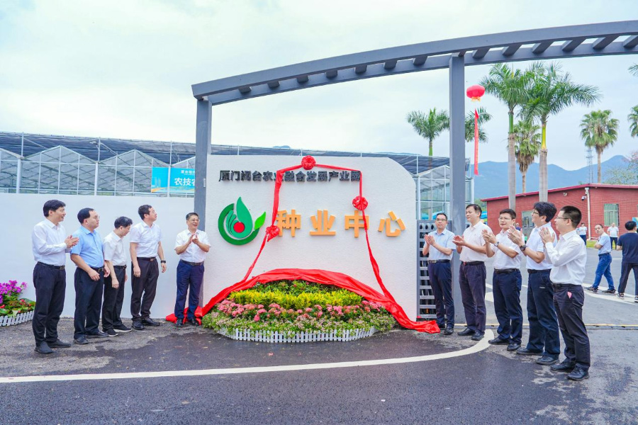 揭牌仪式现场。主办方供图