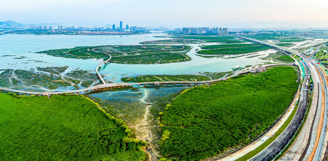 厦门翔安下潭尾红树林公园。陈卫华摄