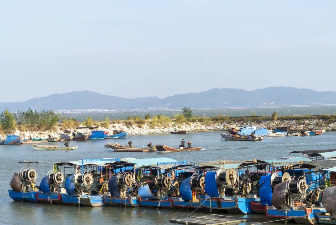 西梧村三级渔港。诏安县融媒体中心供图