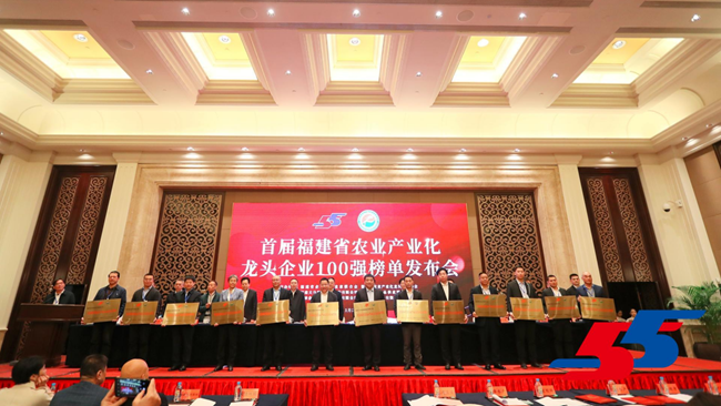 发布会现场。