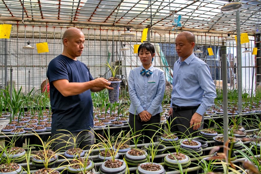 农行南靖县支行金融服务团队到兰花种植基地了解兰花种植户生产经营情况及金融服务需求。农行漳州分行供图