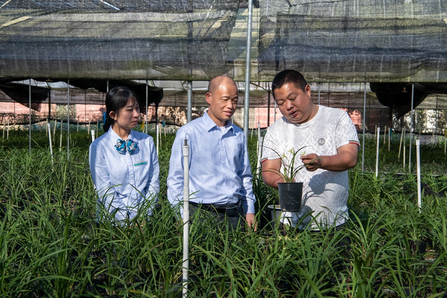 农行南靖县支行金融服务团队到兰花种植基地了解兰花种植户生产经营情况及金融服务需求。农行漳州分行供图