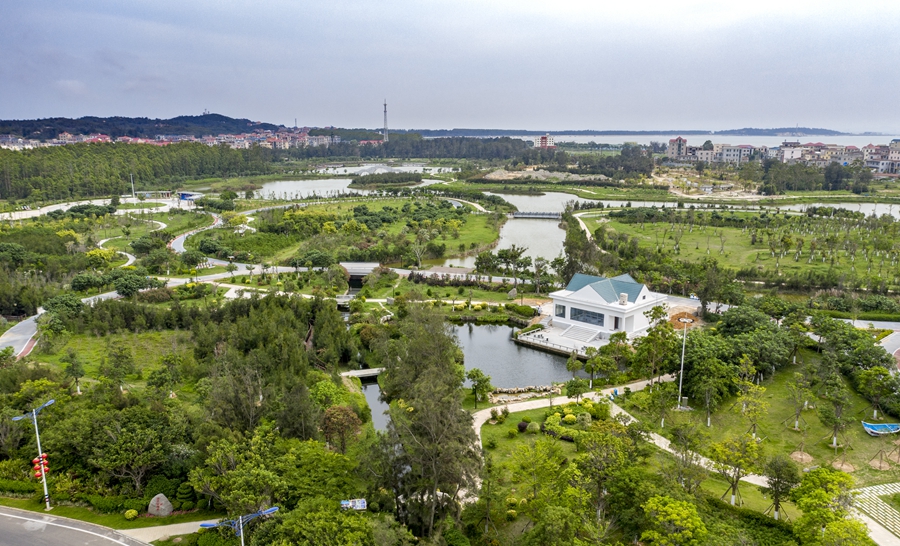 湖石淉生態公園。林春盛攝