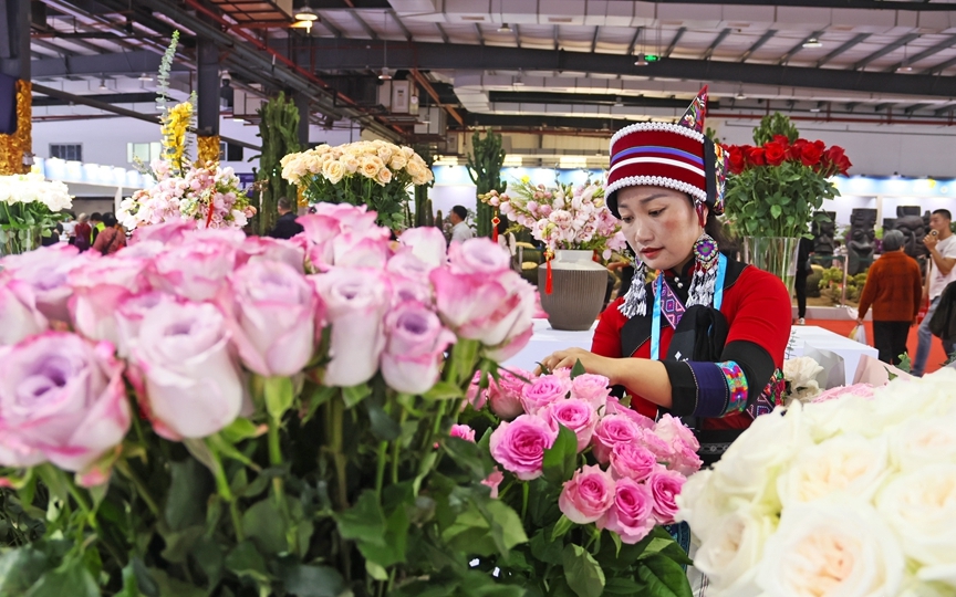海峡两岸精品花卉在福建漳州集中展出