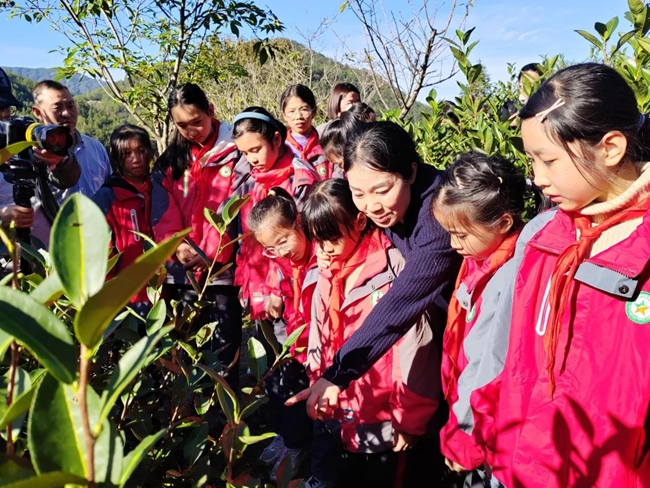 在燕子窠生态茶园，廖红给孩子们讲解知识。