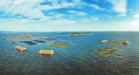 定海湾“百台万吨”深远海养殖平台。（连江县委宣传部供图）