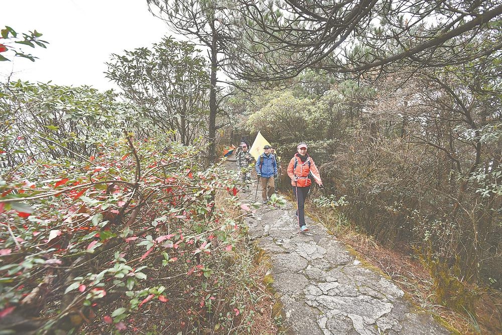 原山原水原生态，为自然教育提供了最好的教材。