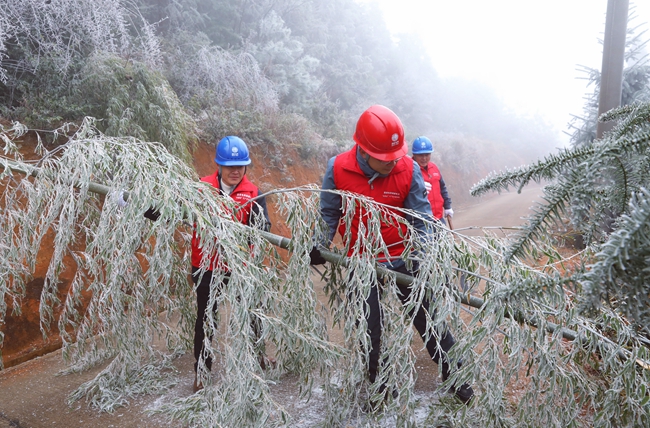 武平供電公司供電所人員對東留鎮泥洋村中10千伏高凹分支線進行特巡特護清理樹障。