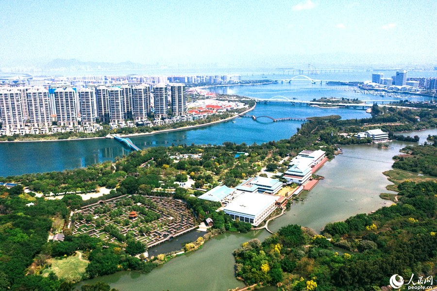 五緣灣成為廈門“新客廳”，圖為五緣灣濕地公園。人民網記者 陳博攝
