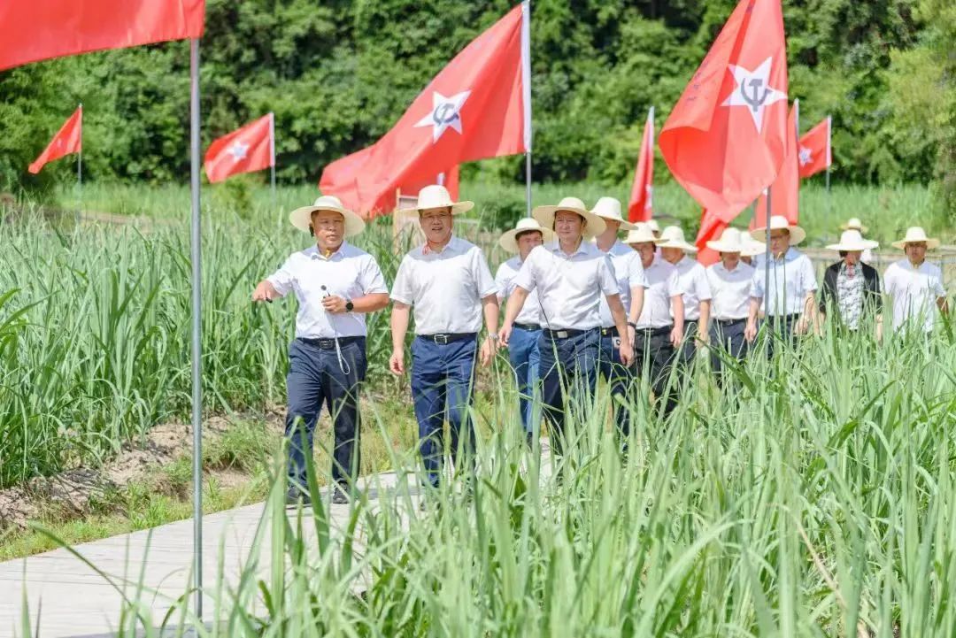 推动村集体和村民“双增收”。