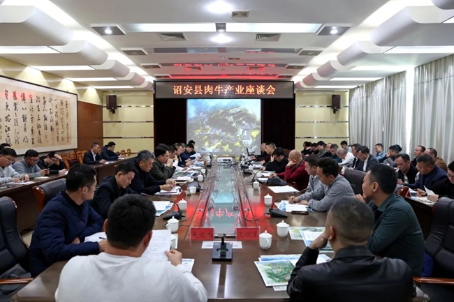 会议现场。