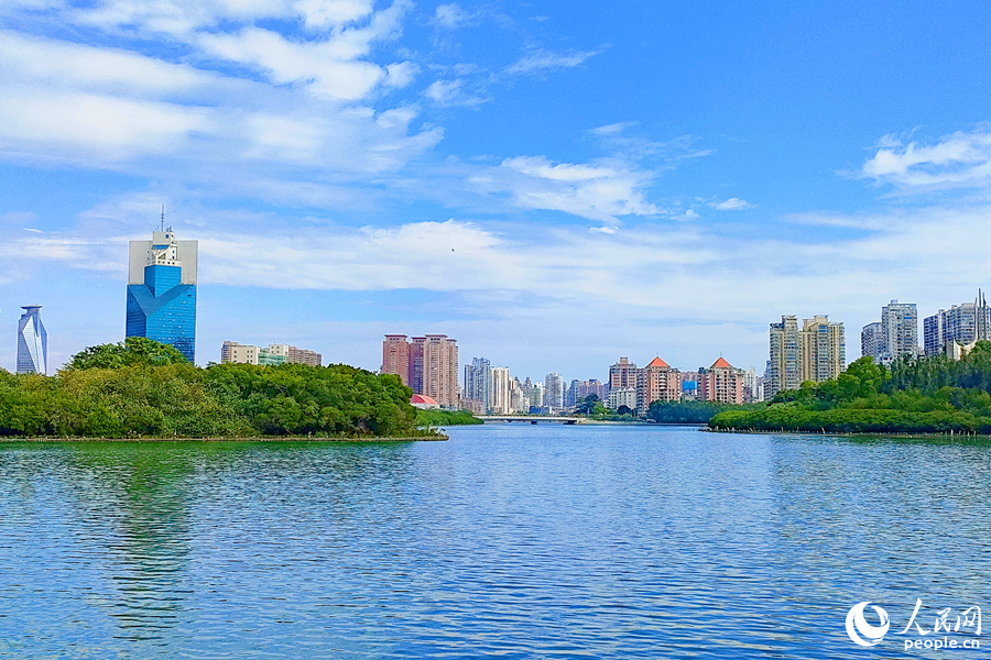 水清岸绿的厦门筼筜湖。人民网记者 陈博摄