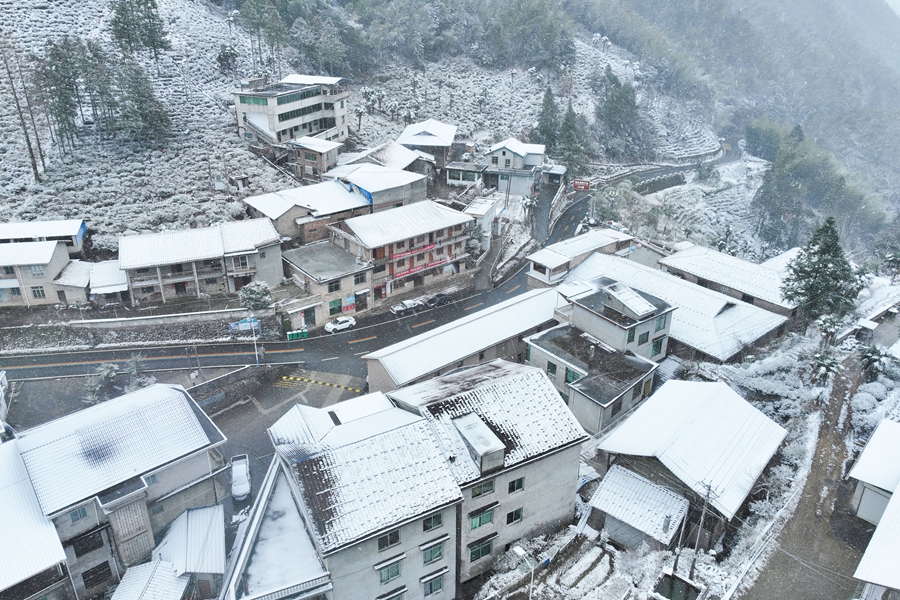 南平建陽區黃坑鎮坳頭村大雪紛飛。吳大灼 攝