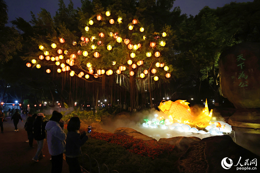 中山公園中的金鯉魚花燈引人圍觀。人民網記者 陳博攝