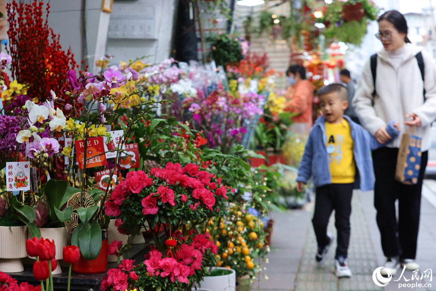 各式各样的花卉，吸引市民驻足观赏、选购。人民网记者 陈博摄