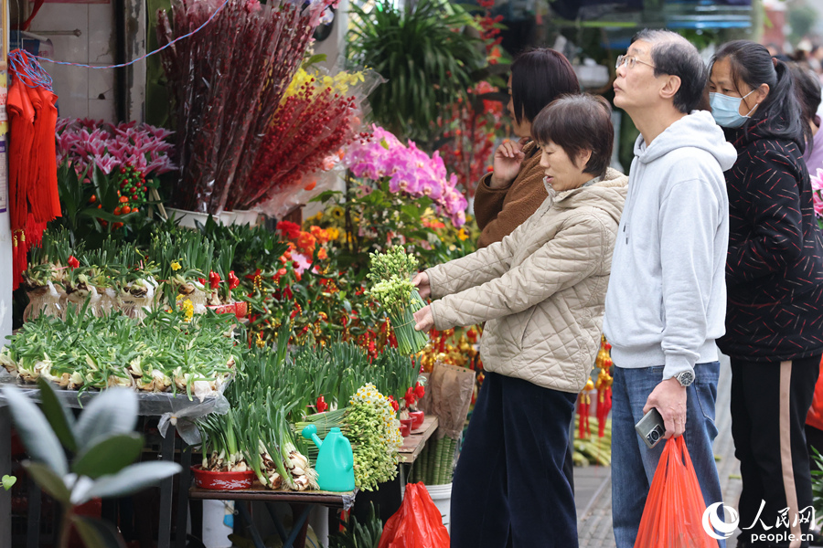 水仙花是闽南家庭过年的必备花种。人民网记者 陈博摄