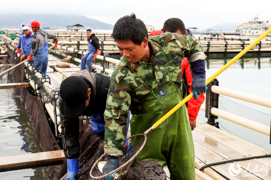 在海上養殖基地，工人正在作業。人民網 陳永整攝