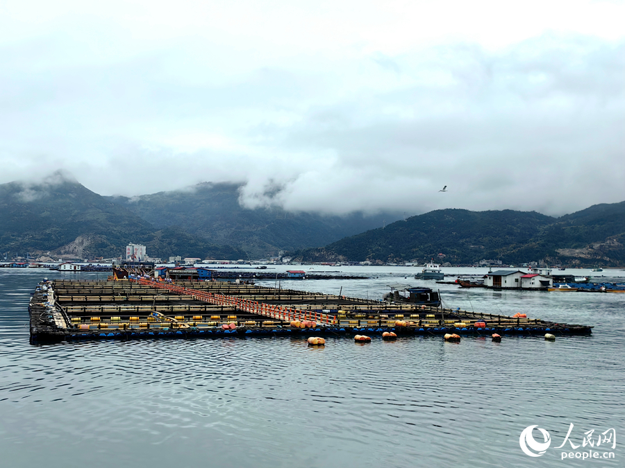 海上養殖基地。人民網 葉青卿攝