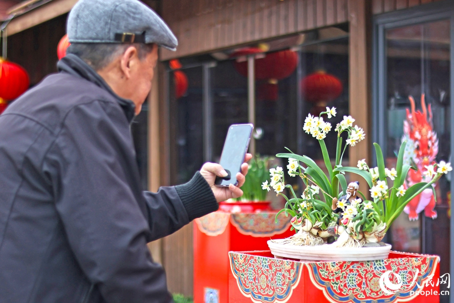 经雕刻后的水仙花造型吸引市民游客拍照。人民网 李昌乾摄