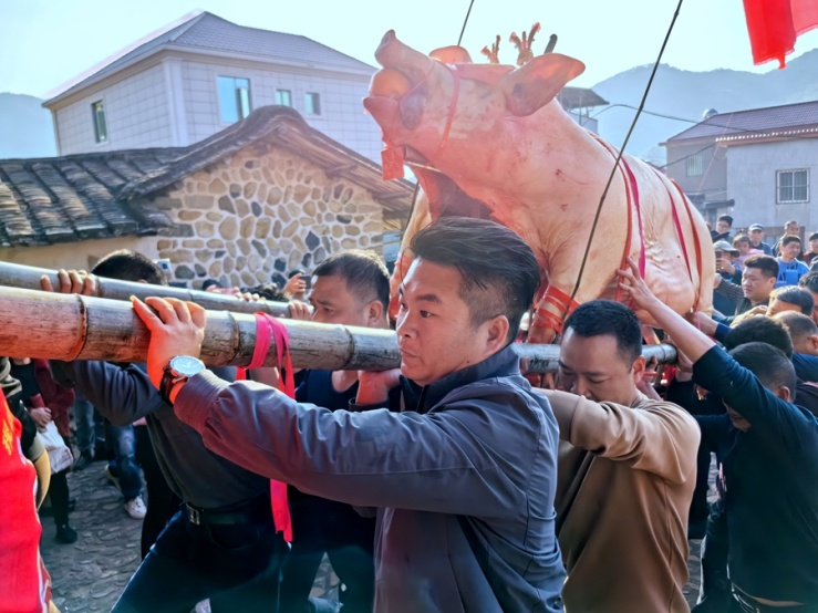 2月17日，福建长泰山重村迎来了一年一度的“赛大猪·祈丰年”习俗盛景。长泰区融媒体中心供图