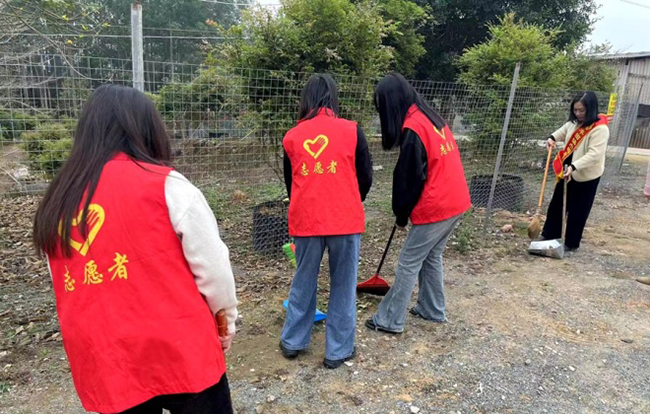 南靖縣豐田鎮組織志願者在轄區開展環境整治活動。豐田鎮政府供圖