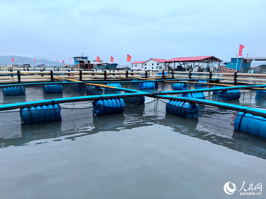 霞浦的海参养殖基地。人民网记者 林晓丽摄