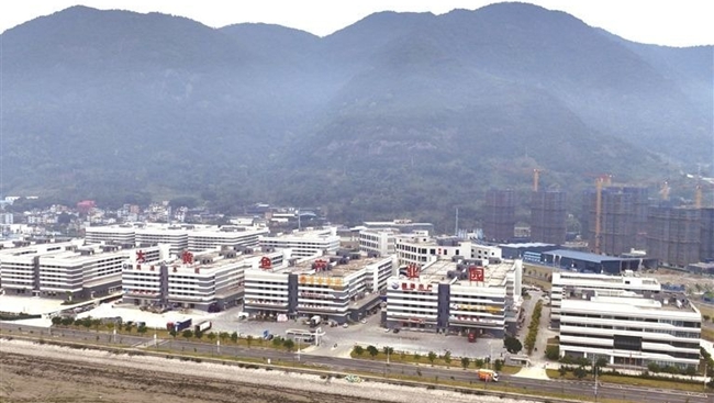蕉城区飞鸾镇的大黄鱼产业园项目建设进展显著。余汕康摄