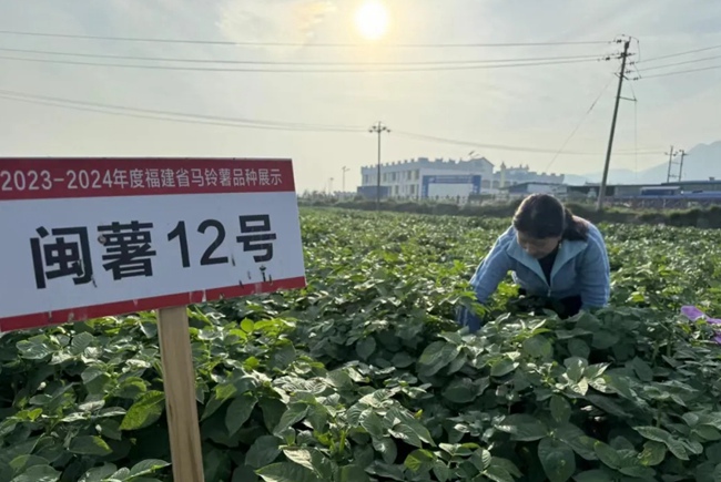 。宁德市委宣传部供图