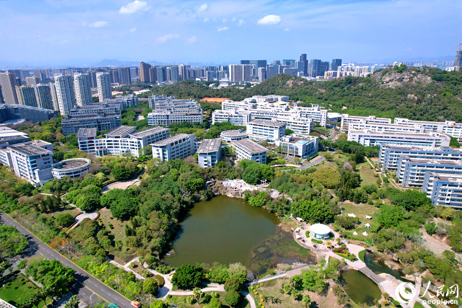 位于厦门市思明区的软件园二期草木葱茏、绿意盎然，为鸟类提供了舒适的生活环境。人民网记者 陈博摄