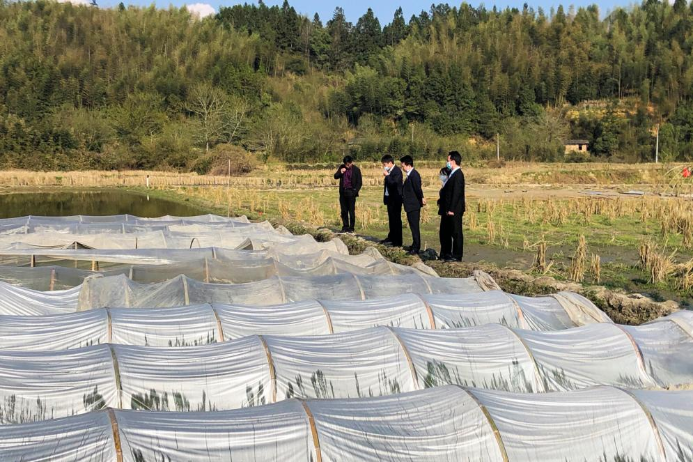中行客户经理深入田间地头开展调研。福建中行供图