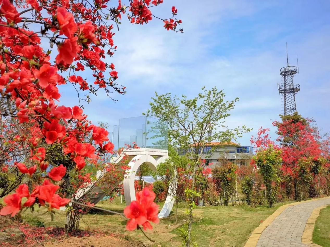 蓮峰三村春意盎然。城南鎮供圖
