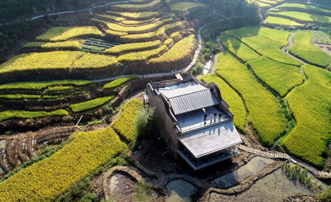 曾經僅剩三面土牆的舊院落以水田書店之姿，在鄉土中傳續書香。受訪者供圖